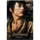 Load image into Gallery viewer, Lord of the Rings Return of the King - Printed Originals