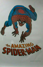 Load image into Gallery viewer, Marvel Amazing Spider Man - Printed Originals