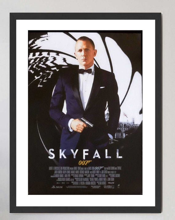 Skyfall (French)