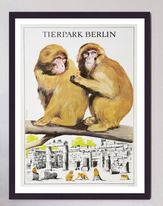Berlin Tierpark Zoo - Baboons