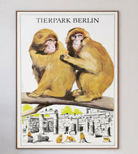 Load image into Gallery viewer, Berlin Tierpark Zoo - Baboons