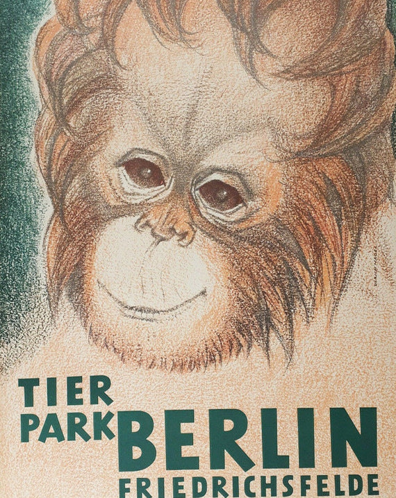 Berlin Tierpark Zoo Friedrichsfelde