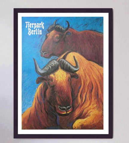 Berlin Tierpark Zoo - Golden Takin